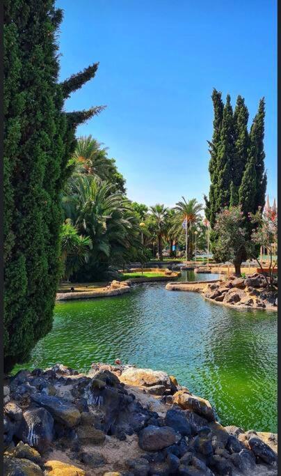 Casa Di Mateo With Garden View And Swimming Pool Lejlighed Torrevieja Eksteriør billede