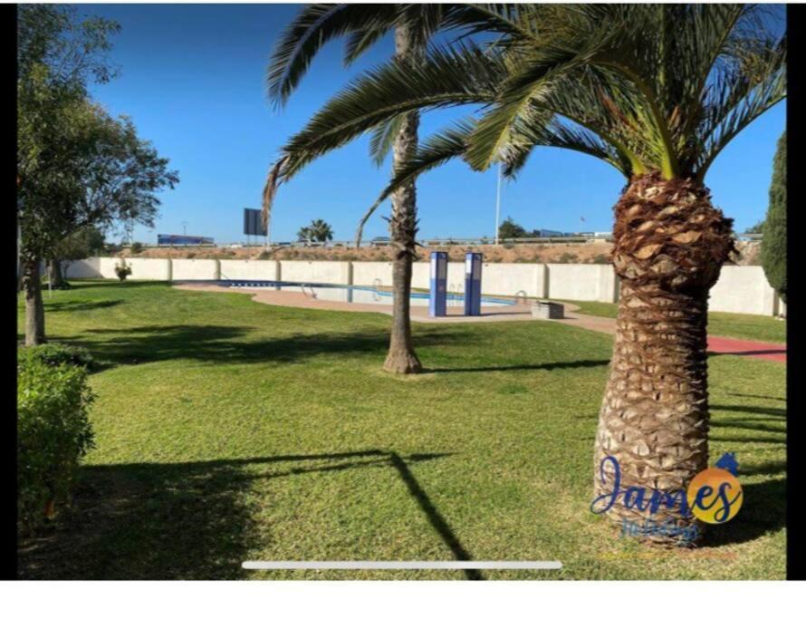 Casa Di Mateo With Garden View And Swimming Pool Lejlighed Torrevieja Eksteriør billede
