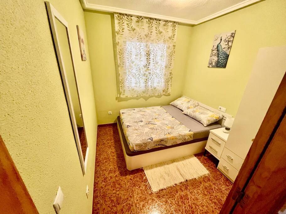 Casa Di Mateo With Garden View And Swimming Pool Lejlighed Torrevieja Eksteriør billede